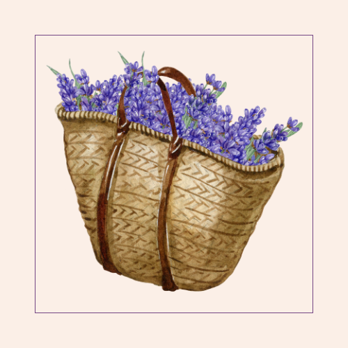 Basket Package